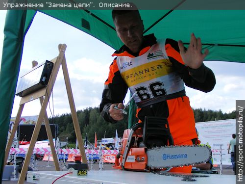 ������ ����: ��� 12 ������ ����� ���� ����� ������ � ����������� ������