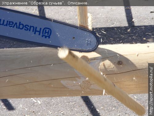 ������� ������: ��������� ����� ��� ����������� ����� � 20 ������, ������� ����������� � 4 �����