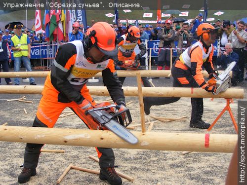 ������� ������: ��������, ��������, ������������ �... ���������� �����.