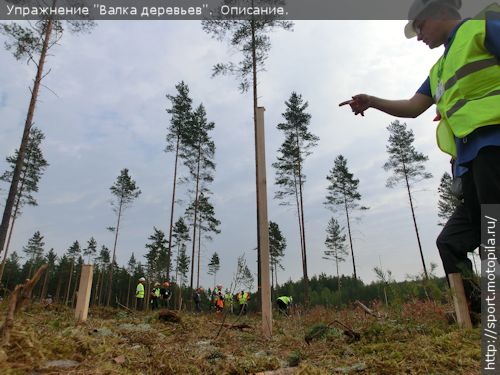 ����� ��������: � ����� ������ �������� �������� ����������� ���� ����� ������ ������.