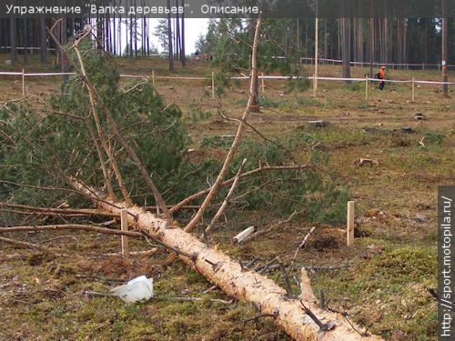 ����� ��������: ������ �������� - ������ �������, ����������������� - ������� � ������ (������� � �����)